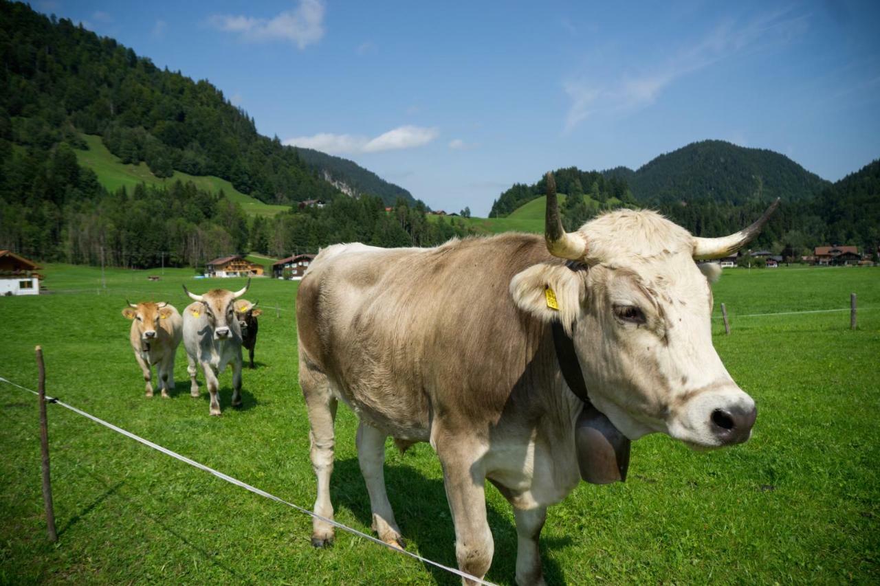 Geigers Ferienhaus Tiefenbach bei Oberstdorf Exteriör bild